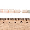 Electroplate Opaque Glass Imitation Pearl Beads Strands EGLA-H113-07C-4