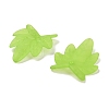 Frosted Acrylic Pendants FACR-G006-01B-2