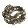 Natural Labradorite Beads Strands G-P497-01E-47-3