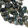 Natural Moss Agate Beads Strands G-P604-A11-01-4
