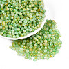 Baking Paint Glass Beads DGLA-T005-01A-06-3