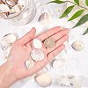 Clam Shell Beads SSHEL-NB0001-11-3