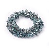 Electroplate Glass Beads Strands EGLA-F145-FR03-2