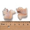 Flocky Opaque Resin Pendants RESI-I335-01P-11-3