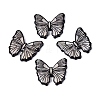 Acrylic & Natural Freshwater Shell Cabochons OACR-N164-07-1
