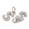 Brass Micro Pave Grade AAA Cubic Zirconia Charms LS-ZIRC-P067-11P-S-NR-3