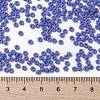 MIYUKI Round Rocailles Beads SEED-X0055-RR0417L-4