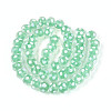 Handmade Lampwork Beads LAMP-T022-12D-2