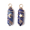 2Pcs 2 Styles Natural Lapis Lazuli Double Terminated Pointed Pendants PALLOY-JF03122-04-1