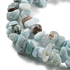 Natural Larimar Beads Strands G-G0003-B40-3