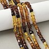 Natural Amber Beads Strands G-L095-E01-02-1