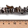 Natural Trochid Shell/Trochus Shell Beads Strands SHEL-B003-02M-4