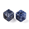 Natural Blue Spot Jasper European Beads G-N345-07A-05-2