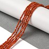 Natural South Red Agate Beads Strands G-B090-A04-01-2