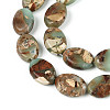 Natural Aqua Terra Jasper Beads Strands G-S366-015B-3