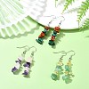 Natural Rose Quartz & Amethyst & Green Aventurine & Red Jasper & Citrine & Malachite Chip Dangle Earrings Set for Women EJEW-JE06246-1