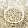 MIYUKI Round Rocailles Beads SEED-X0055-RR0577-2