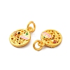 Alloy Enamel Charms ENAM-K067-71MG-3