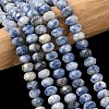 Natural Blue Spot Jasper Bead Strands G-D344-A22-1