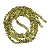 Natural Peridot Beads Strands G-P332-48-02-5