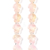 Transparent Glass Enamel Beads Strands GLAA-B021-06K-1