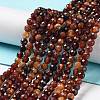 Natural Garnet Beads Strands G-J400-E13-02-2