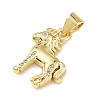 Brass Micro Pave Clear Cubic Zirconia Pendants KK-A303-05H-G-2