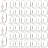 SOFPLATE 200Pcs Brass Leverback Earring Findings KK-SP0001-04P-1