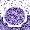 FGB Baking Paint Glass Seed Beads SEED-Q040-09A-16-2