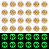 50G Luminous Transparent Acrylic Beads OACR-TAD0001-01K-1