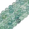 Natural Green Fluorite Beads Strands G-K340-A03-10mm-01-2