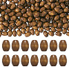 Spray Painted Natural Maple Wood Beads X-CD-TAC0003-01B-2