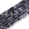 Natural Iolite Beads Strands X-G-G139-A11-03-1