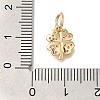Brass Micro Pave Cubic Zirconia Pendants X-KK-Q001-12G-3