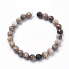 Natural Silver Leaf Jasper Beads Strands X-G-K181-4mm-O01-3