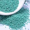 MIYUKI Delica Beads SEED-MY11-DB0166-1
