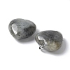 Natural Labradorite Pendants G-A259-02P-02-2