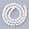 Natural Trochid Shell/Trochus Shell Beads Strands SHEL-T013-007A-01-2