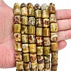 Natural Dragon Blood Jasper Beads Strands G-S396-03C-2
