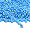 TOHO 6/0 Round Beads SEED-TR06-0043-2