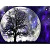 Tree & Moon DIY Diamond Painting Kits DIAM-PW0009-43-1