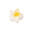 Plastic Claw Hair Clips PW-WG07B2B-01-1
