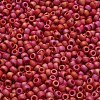 TOHO 6/0 Round Beads X-SEED-TR06-0768-4