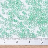 MIYUKI Round Rocailles Beads SEED-X0054-RR0219-4