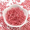 Glass Seed Beads SEED-A032-01D-2