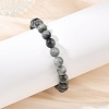 Natural Eagle Eye Stone Round Beads Stretch Bracelets for Women Men BJEW-JB13859-2
