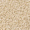 MIYUKI Delica Beads SEED-JP0008-DB0204-4