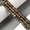 Natural Picasso Jasper Beads Strands G-Q161-D01-01-2