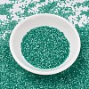 MIYUKI Delica Beads SEED-JP0008-DB1813-2