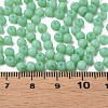 6/0 Imitation Jade Glass Seed Beads SEED-N004-006-15-6